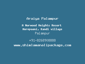 Araiya Palampur, Palampur