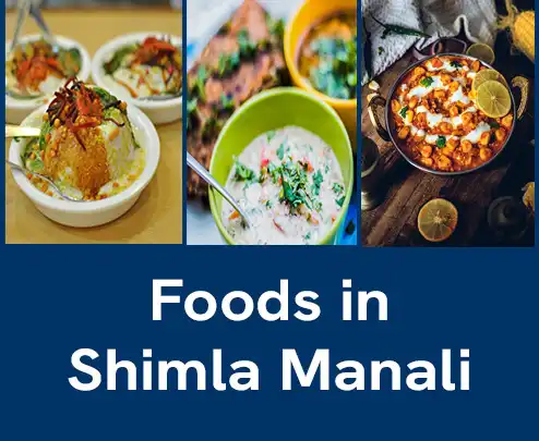 foods in Shimla Manali