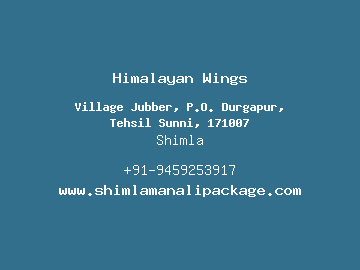 Himalayan Wings, Shimla
