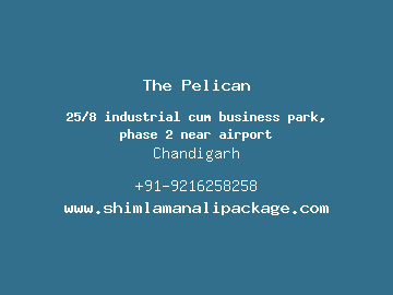 The Pelican, Chandigarh