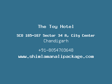 The Toy Hotel, Chandigarh