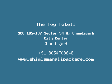 The Toy Hotell, Chandigarh