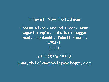 Travel Now Holidays, Manali