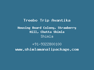 Treebo Trip Avantika, Shimla