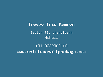 Treebo Trip Kamron, Mohali